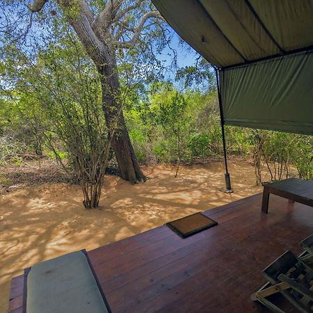 Yala Hotel Lion -Air Conditioned High Luxury Safari Camp Exterior photo